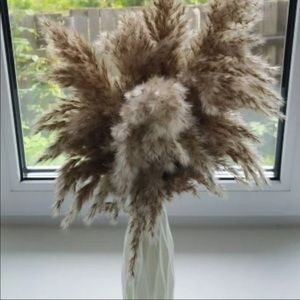 20 piece brown pampas grass